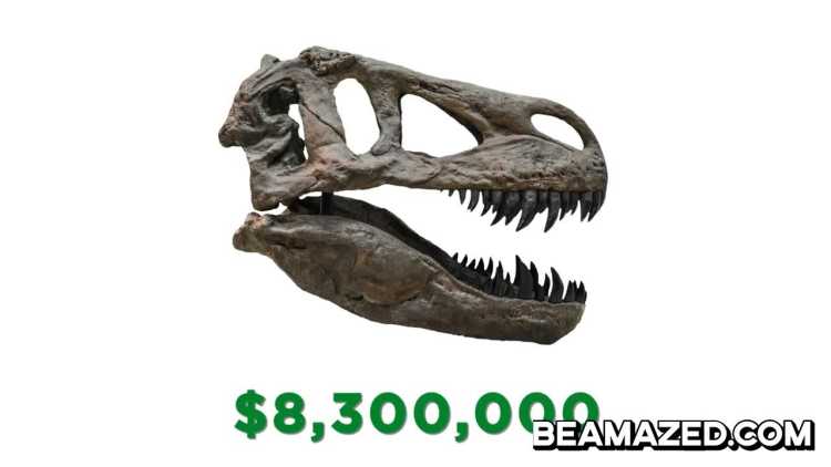 Rare Things Intact T-Rex Fossil