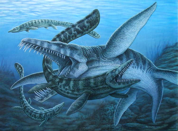 Liopleurodon