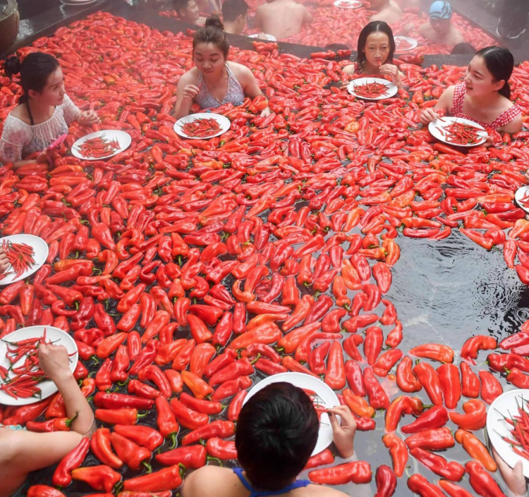 china chili eating competition