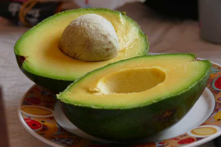Foods That Originally Looked Totally Different Avocado