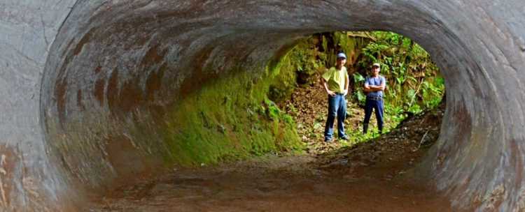 Heinrich Theodor Frank sloth tunnels