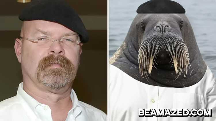 Jamie Hyneman lookalike walrus