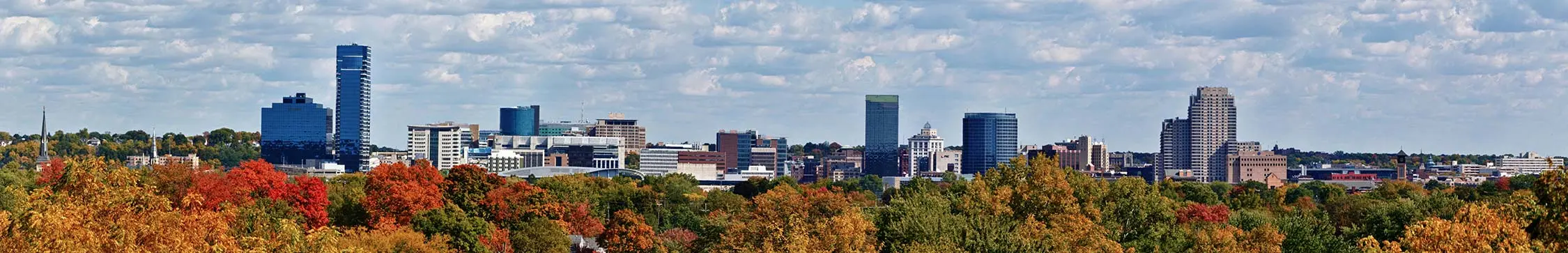 grand-rapids-michigan-banner