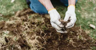 foto av persons händer som påtar i jord med vita handskar.
