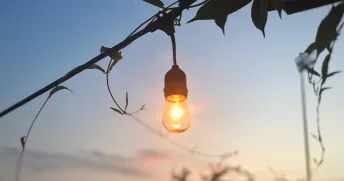 Naken glödlampa som lyser i ett träd i skymningen. 