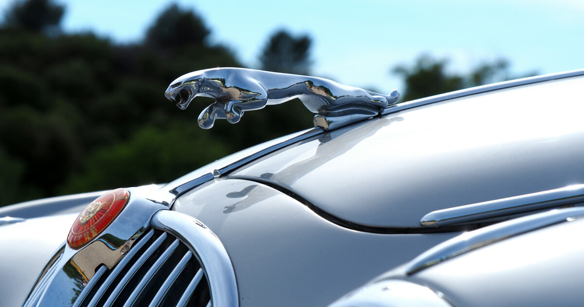 Bilförsäkring för Jaguar