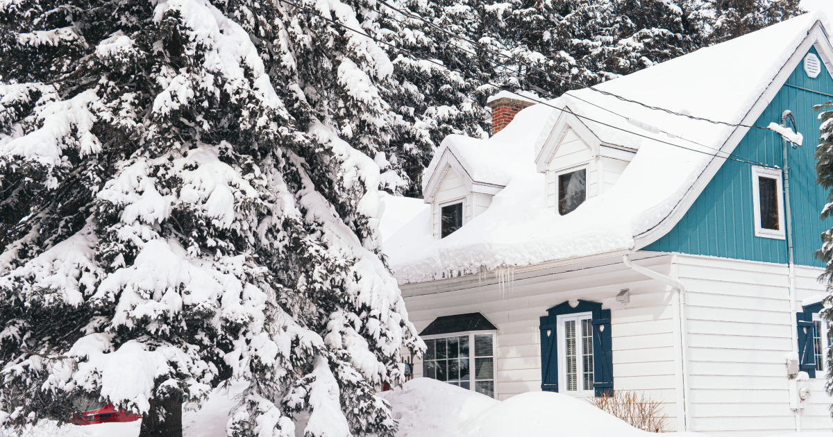 Vitt hus omgivet av snötäckta granar. 