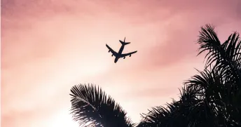 Flygplanssiluett mot rosa himmel med palmer i förgrunden.
