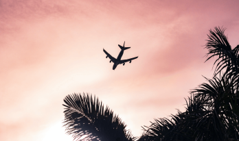 Flygplanssiluett mot rosa himmel med palmer i förgrunden.