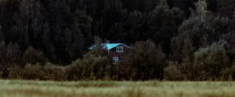 Rött hus bland skog