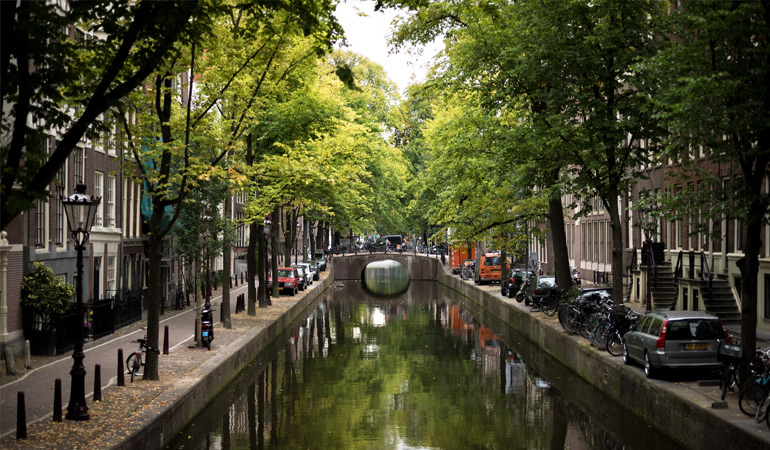 bomen in amsterdam