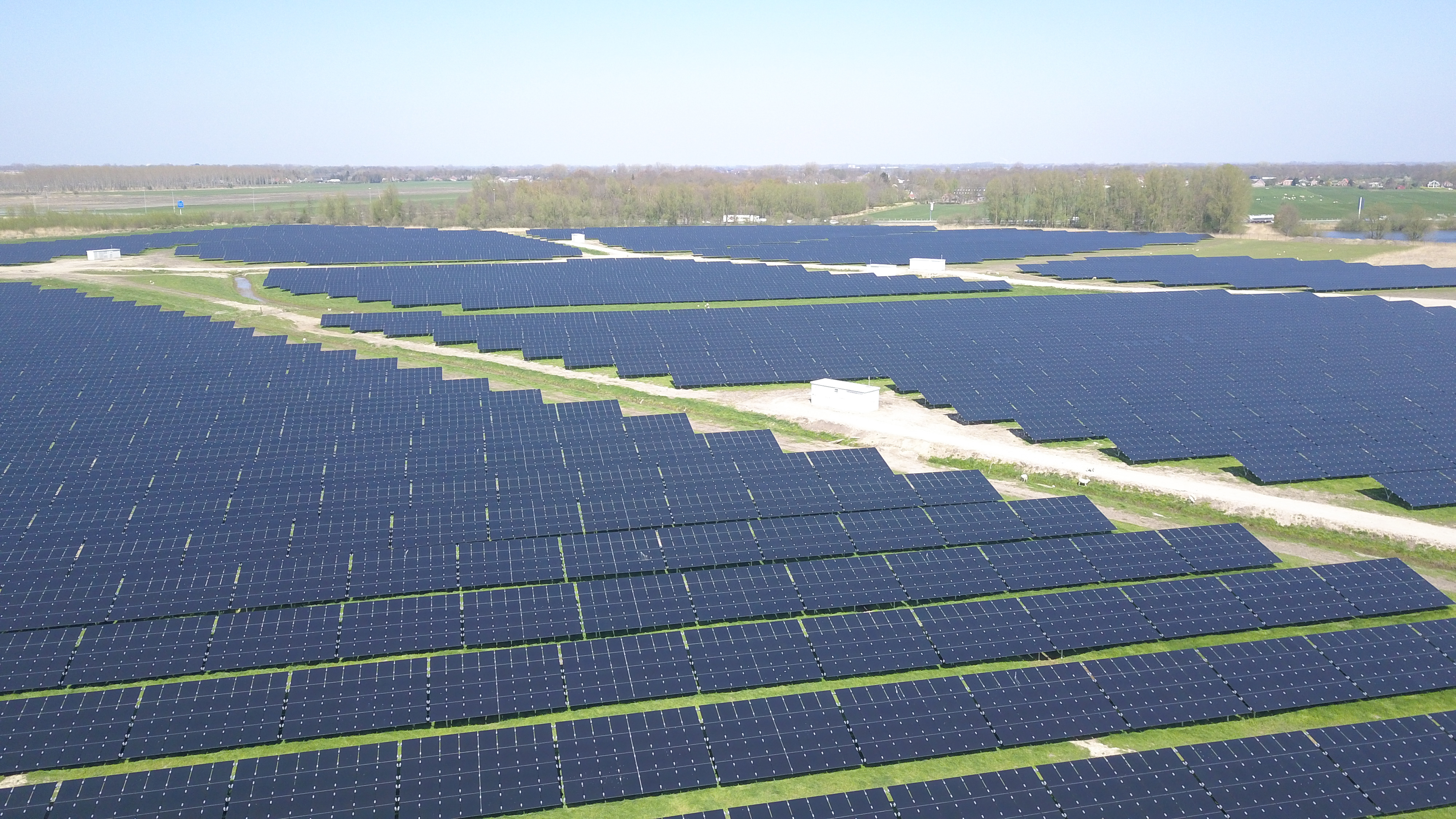 Zonnepark Roodehaan 