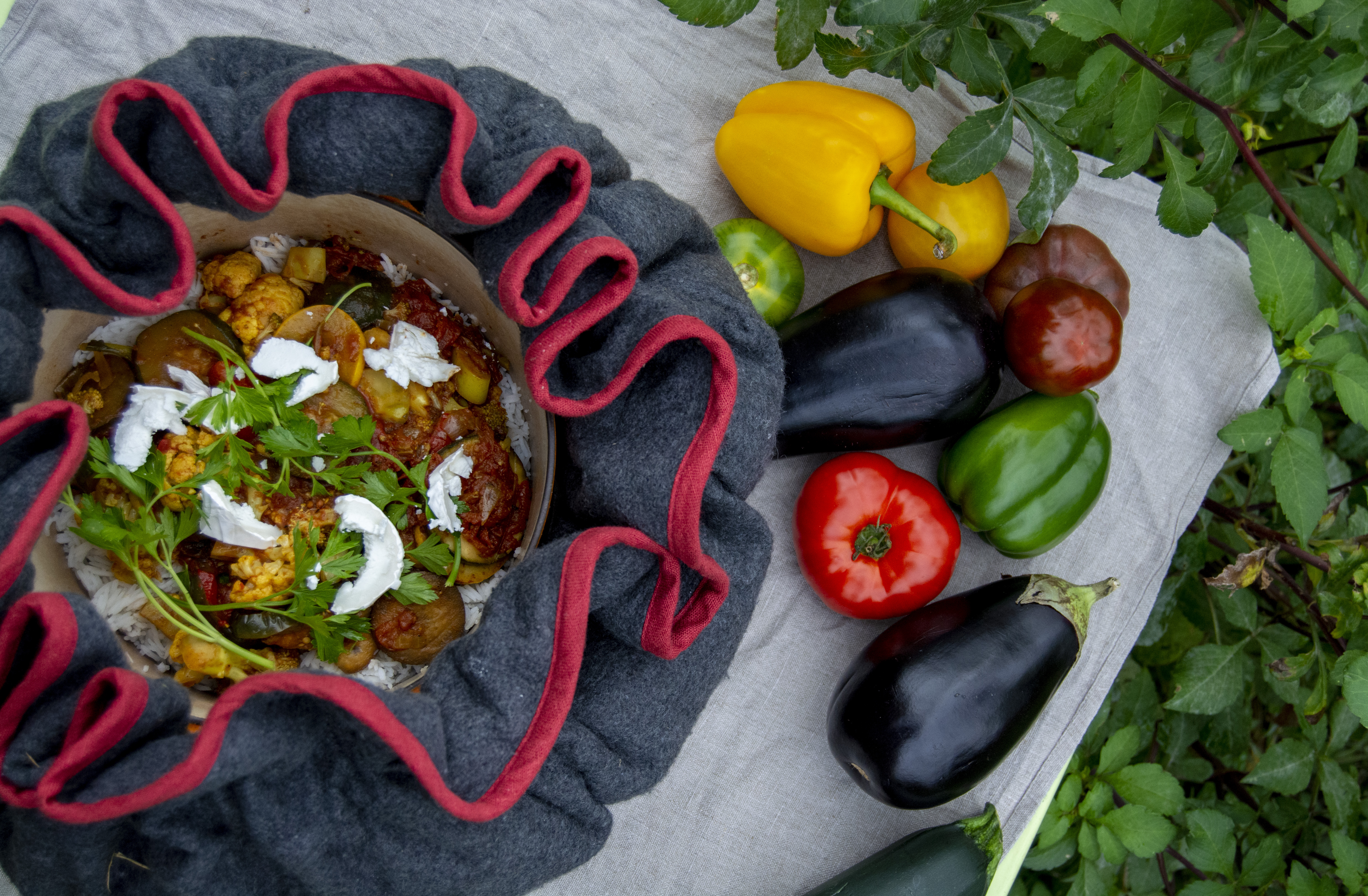 Verlaag je CO₂-uitstoot tijdens het koken met de EcoStoof