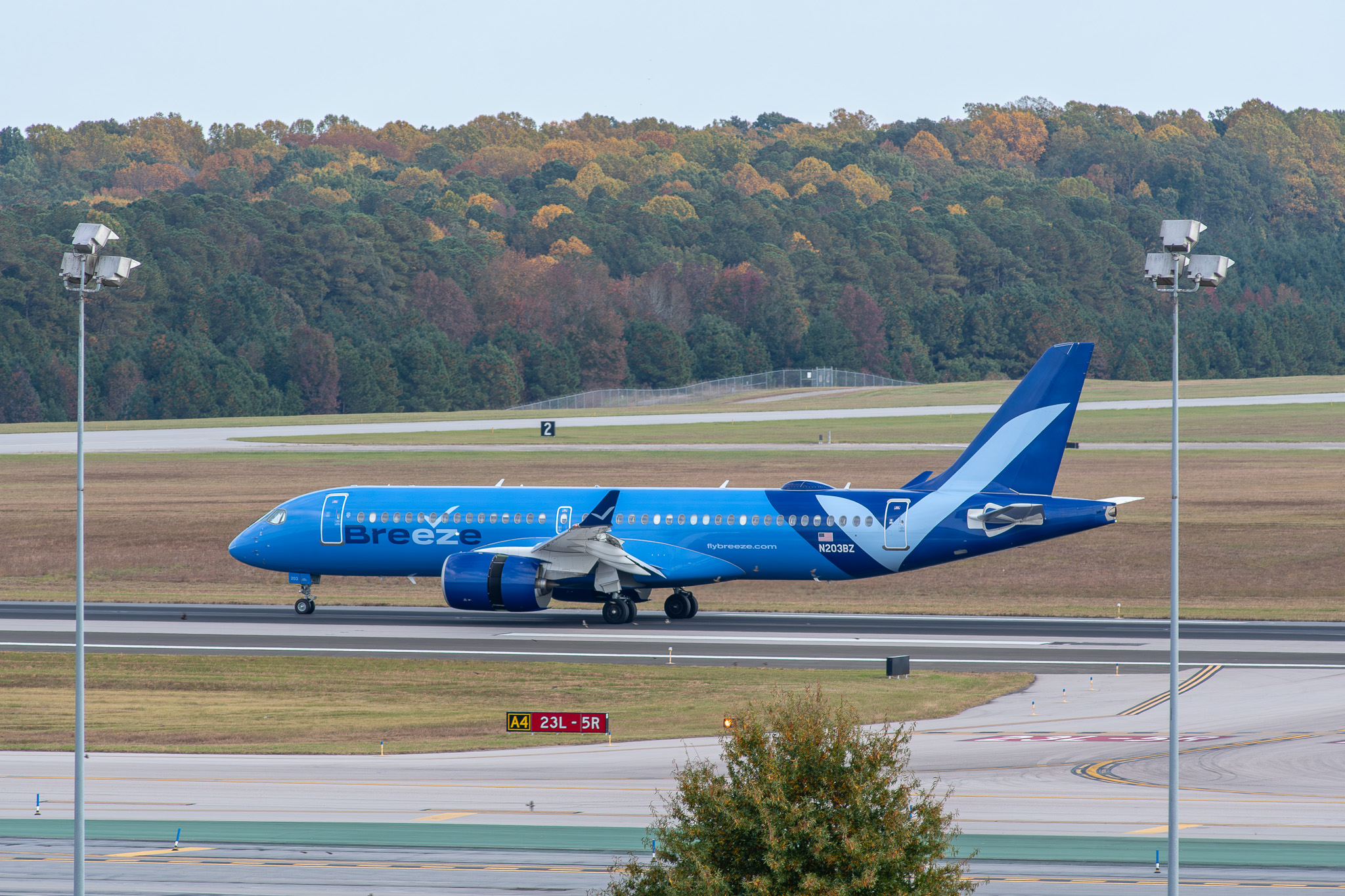 DSC_8596-Enhanced-NR-1.jpg
