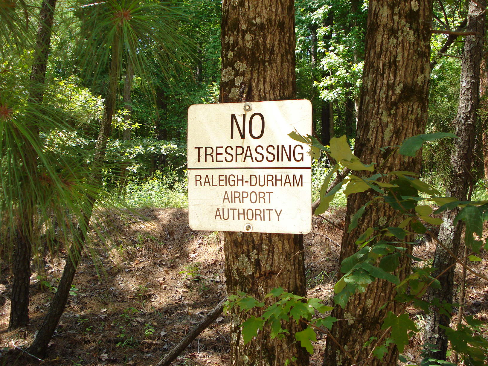 Old-Reedy-Creek-Rogue-Trails-013.jpg