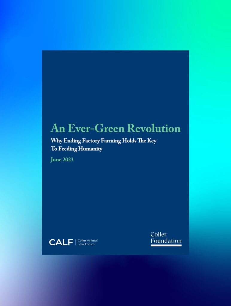 Ever-green-Revolution-Paper-CALF-JCF-1-772x1024.jpg