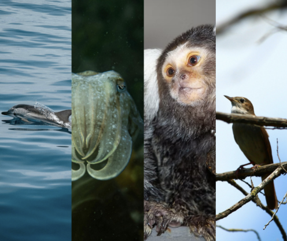 Screenshot 2025-12-08 at 12.35.40