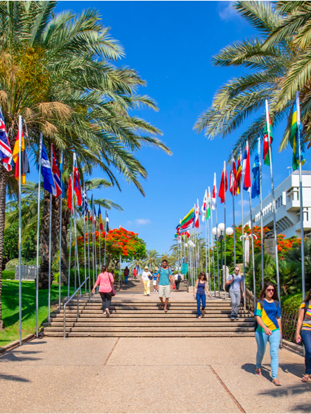 jeremy-coller-foundation-education-coller-insititute-of-venture