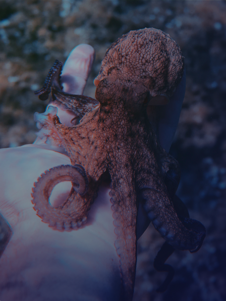 jeremy-coller-foundation-pillars-collaborations-large