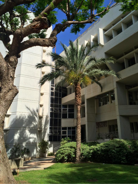 jeremy-coller-foundation-education-coller-school-of-management