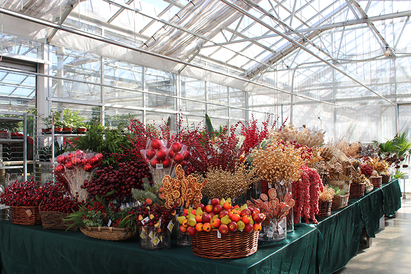 sam bridge christmas photos