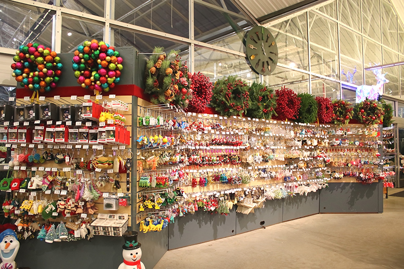 sam bridge christmas photos