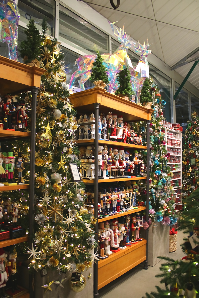 sam bridge christmas photos