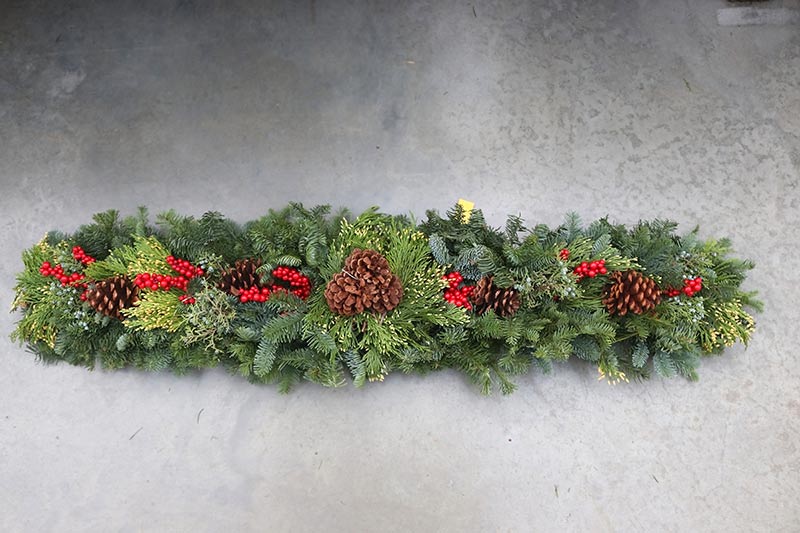 sam bridge christmas photos