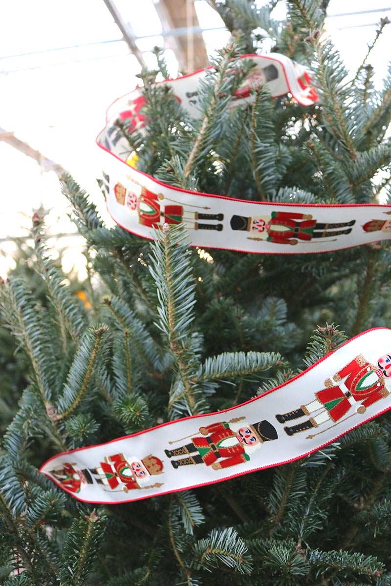 sam bridge christmas photos