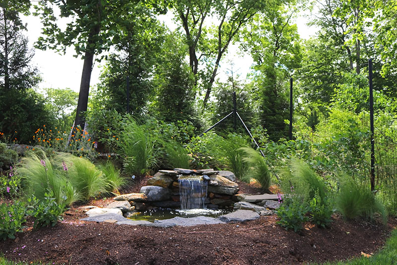 sam bridge landscape design photos