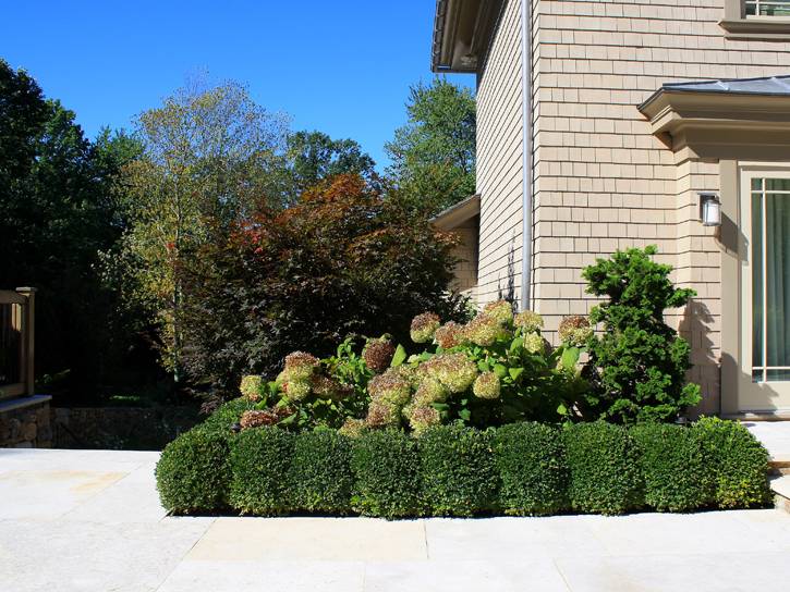 sam bridge landscape design photos