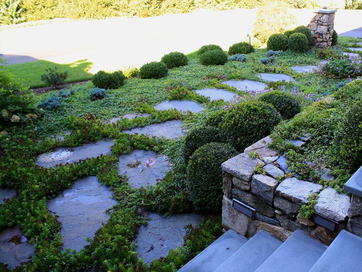 sam bridge landscape design photos