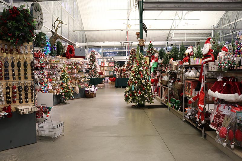 sam bridge christmas photos