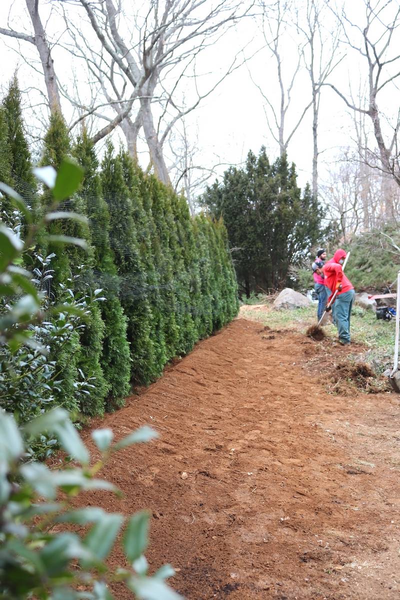 sam bridge trees and shrubs photos