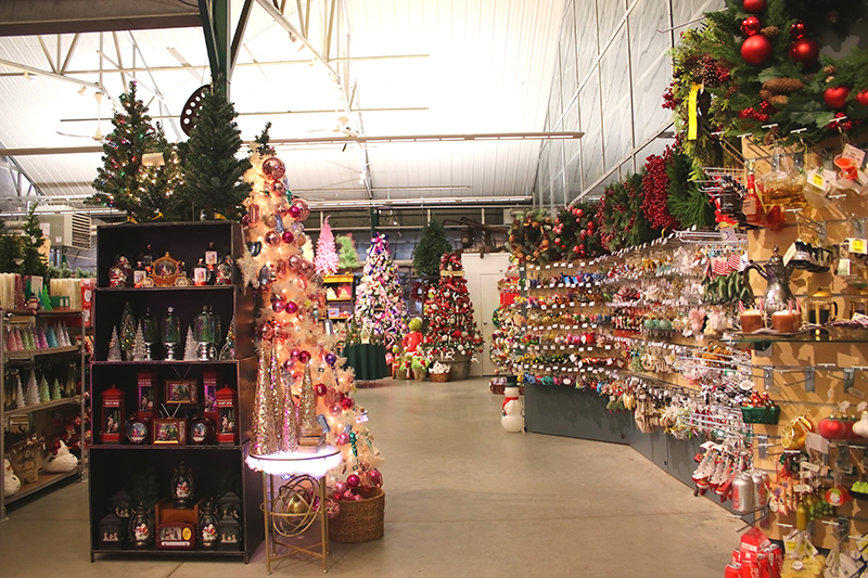 sam bridge christmas photos