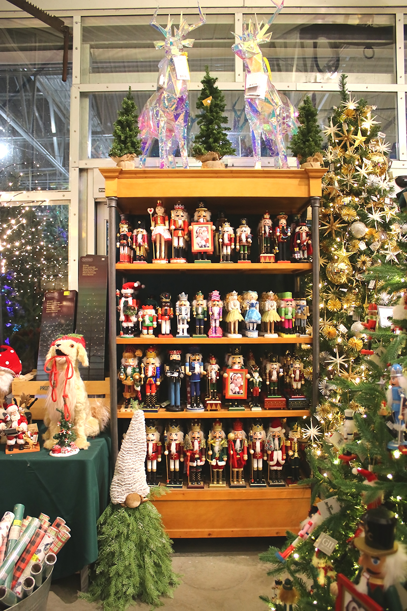 sam bridge christmas photos