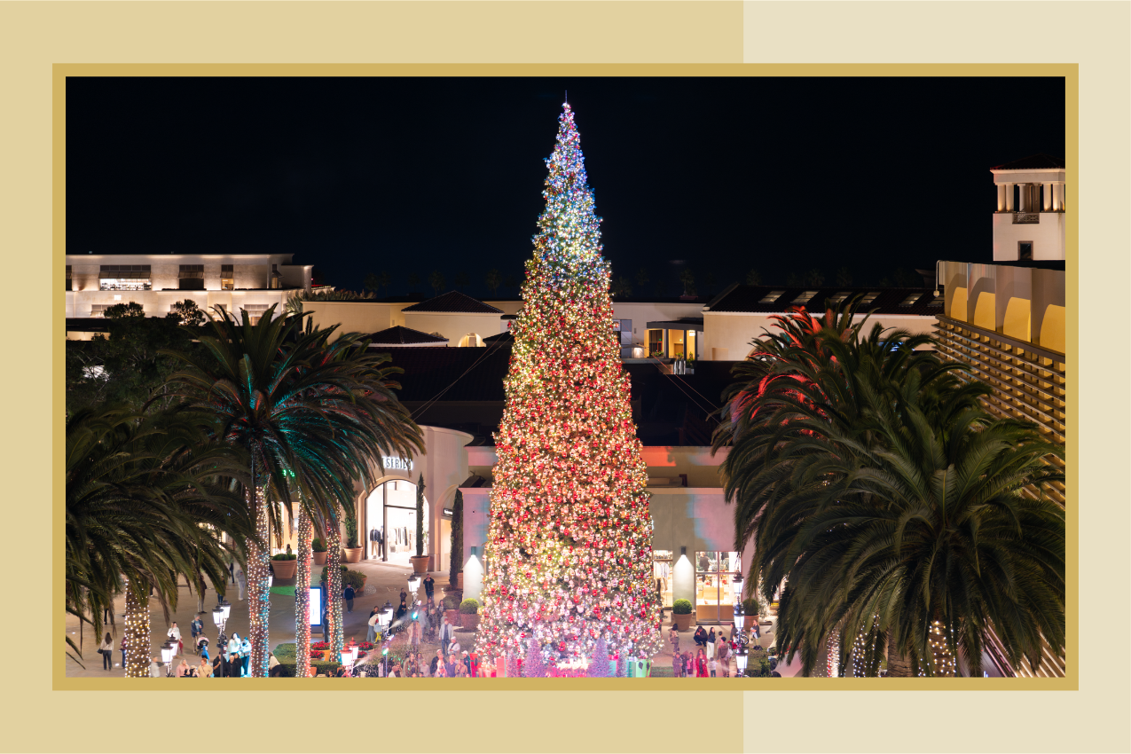 Tree Lighting Ceremony