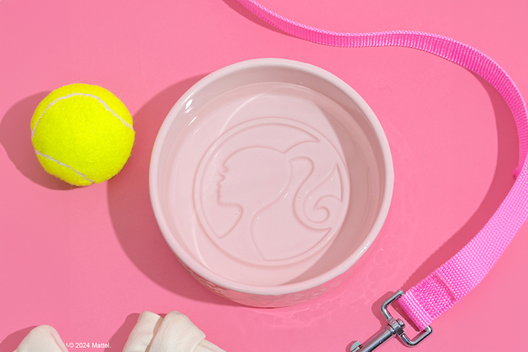 Exclusive Barbie Dreamhouse Stop at Irvine Spectrum Center