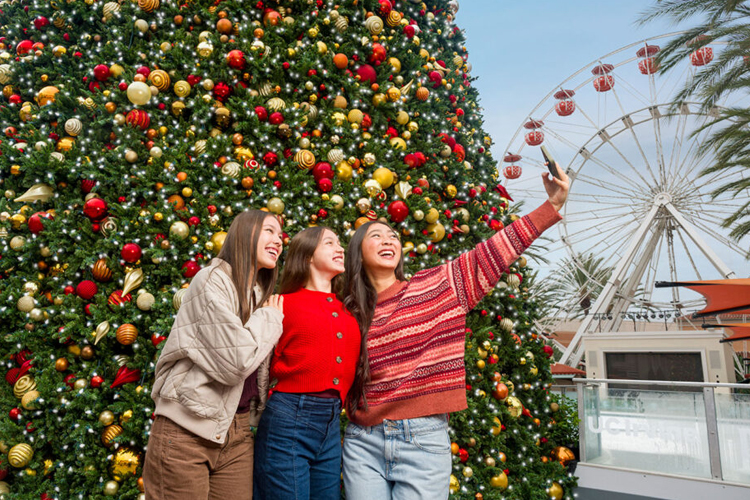 Celebrate the Season