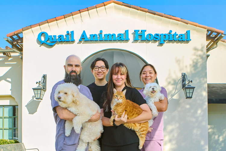 Celebrating Small Business: Quail Hill Shopping Center