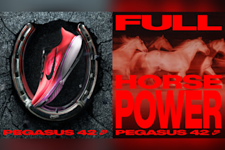 Full Horse Power