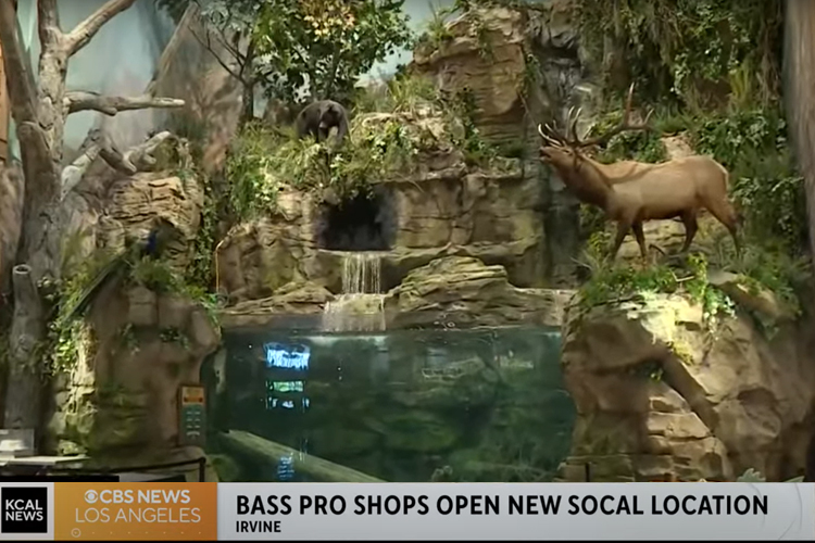 Inside Look at New Bass Pro Shops in Irvine