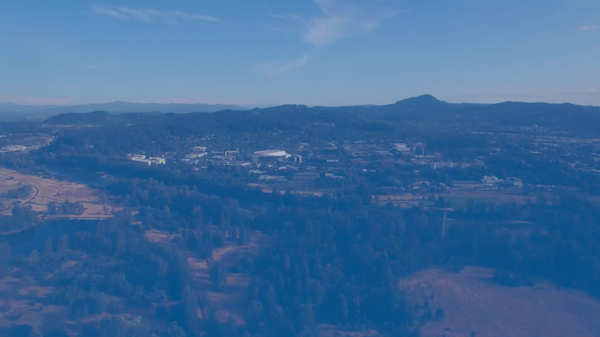 Chase Garden Virtual Tour