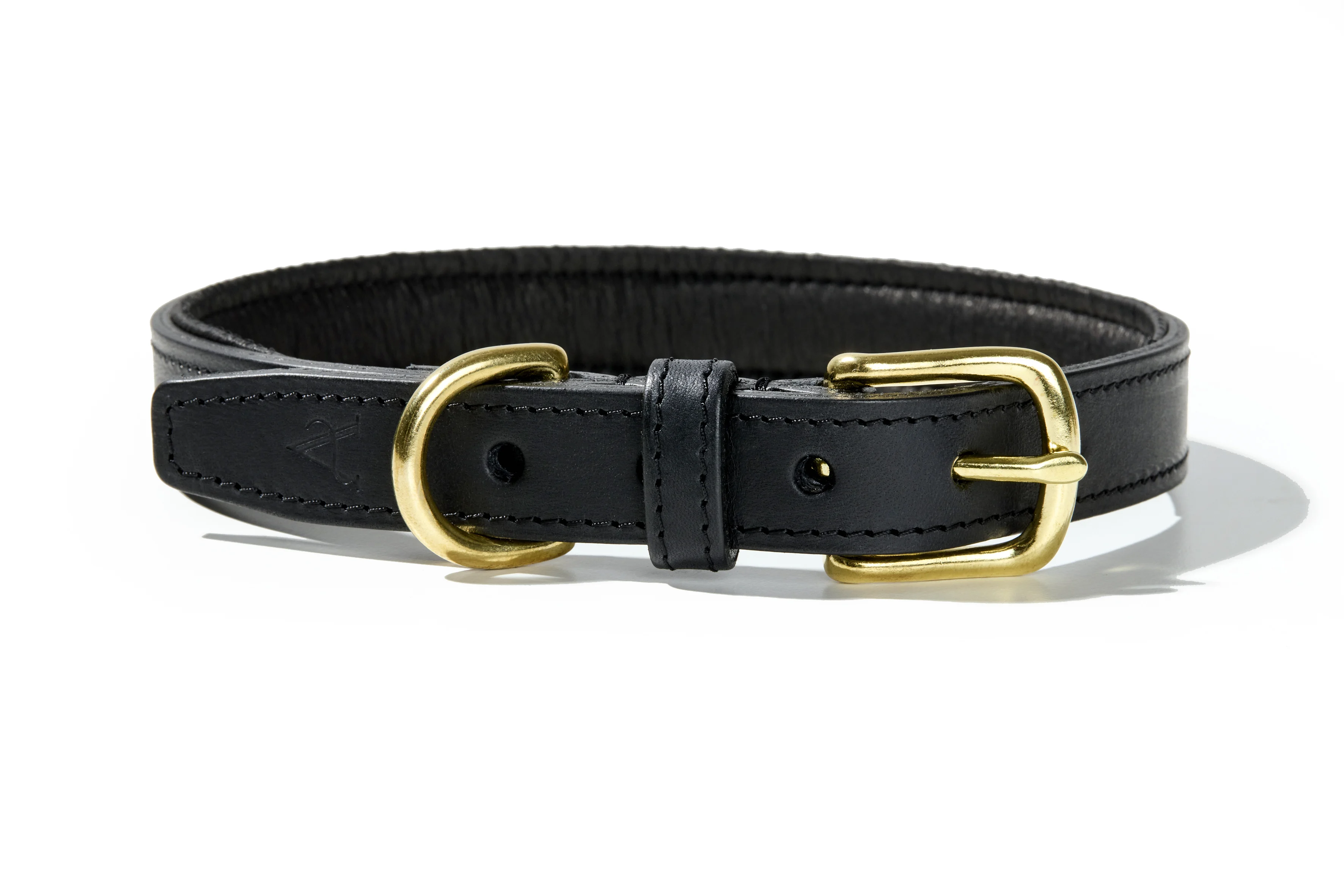 Padded Dog Collar (Black)