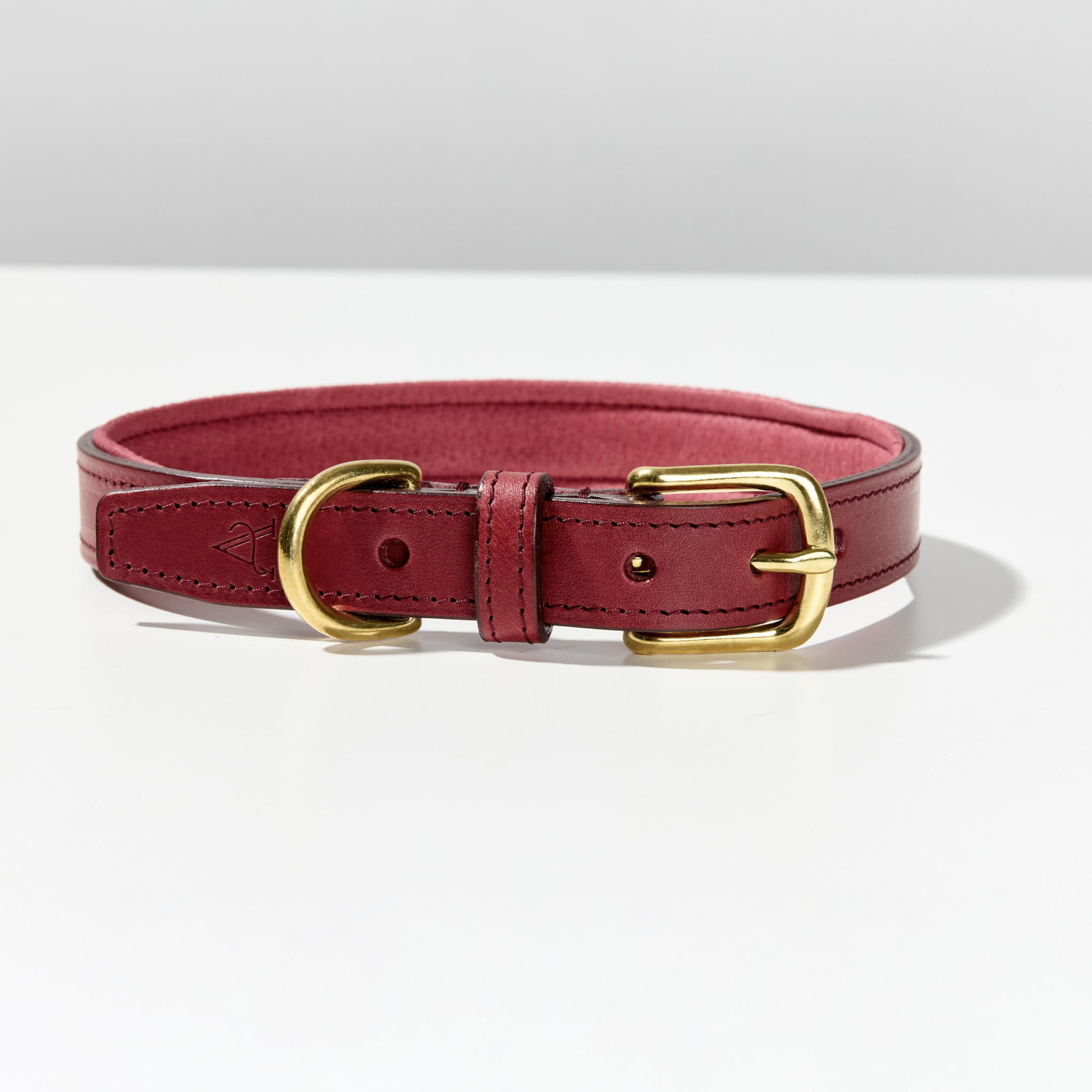 Padded Leather Dog Collar in Red
