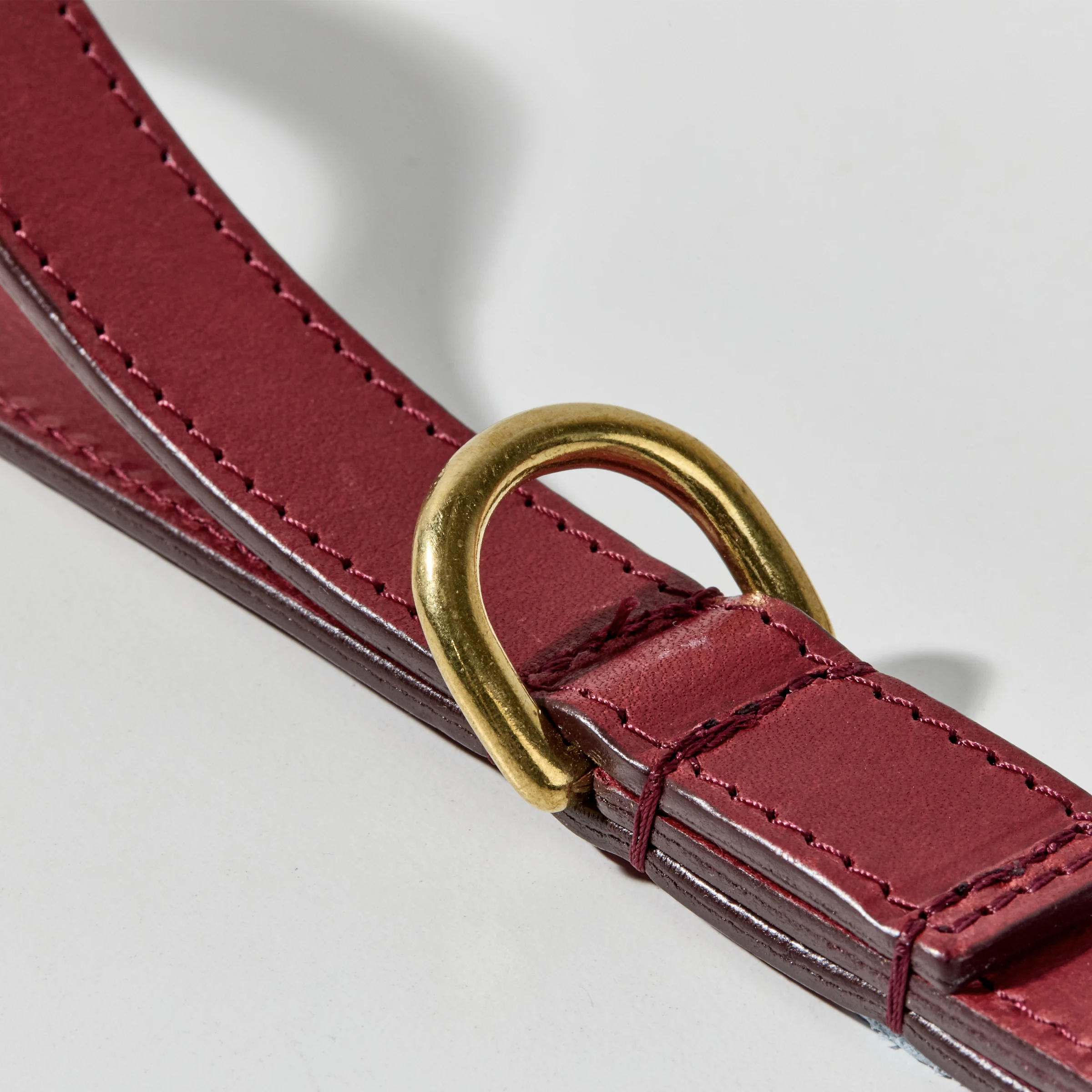 Leather Leash (Red)