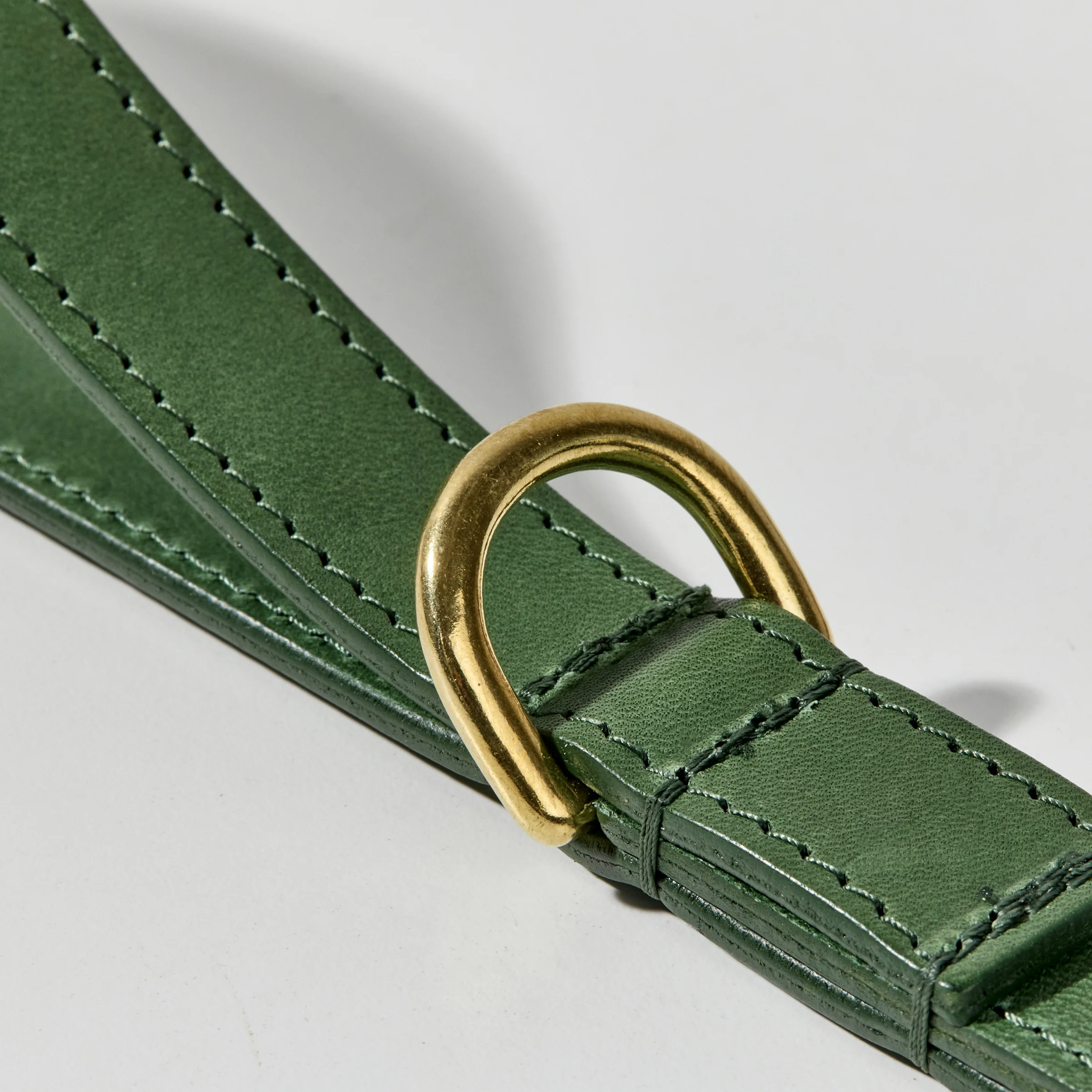 Leather Leash (Green)