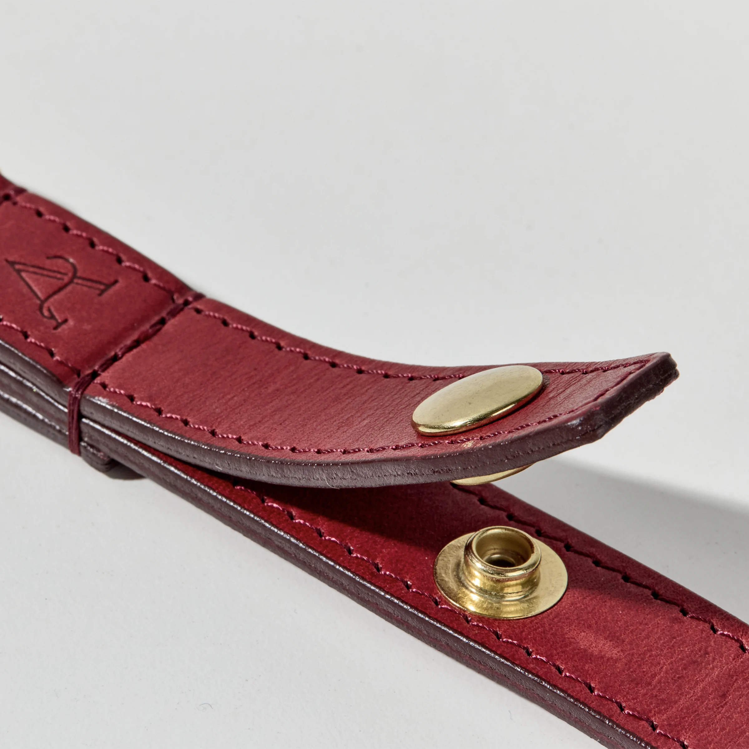Leather Leash (Red)