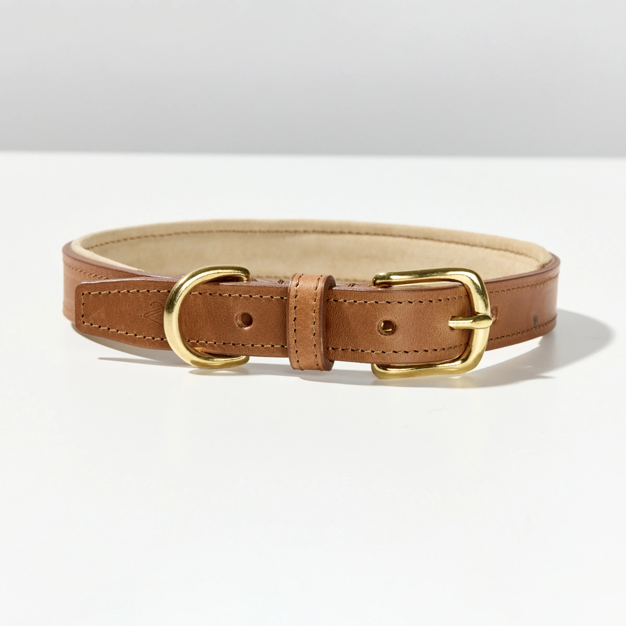 Padded Leather Dog Collar (Tan)