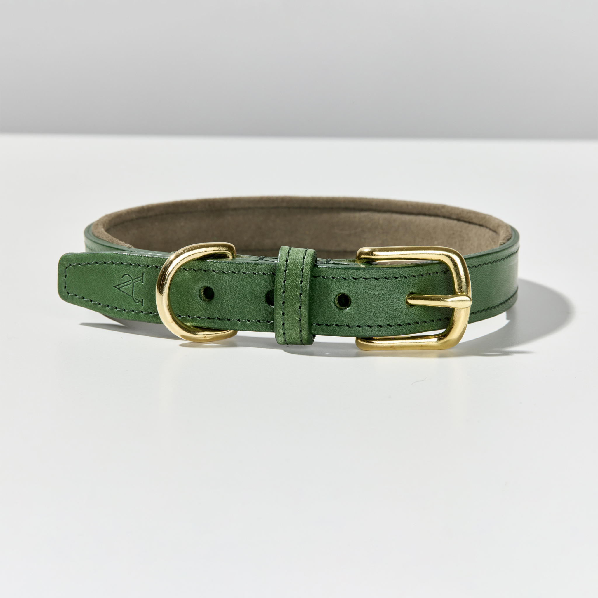 Padded Leather Dog Collar in Green